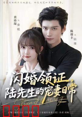 闪婚领证，陆先生的宠妻日常：先婚后爱甜到齁